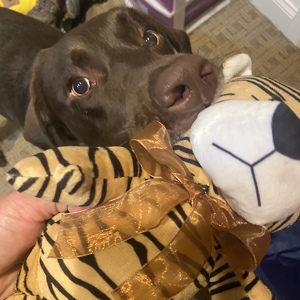 Fundraising Page: Erica Deruyscher